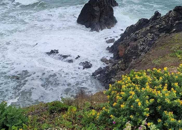 Apartamento Le Pharo